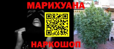 спиды Аргун
