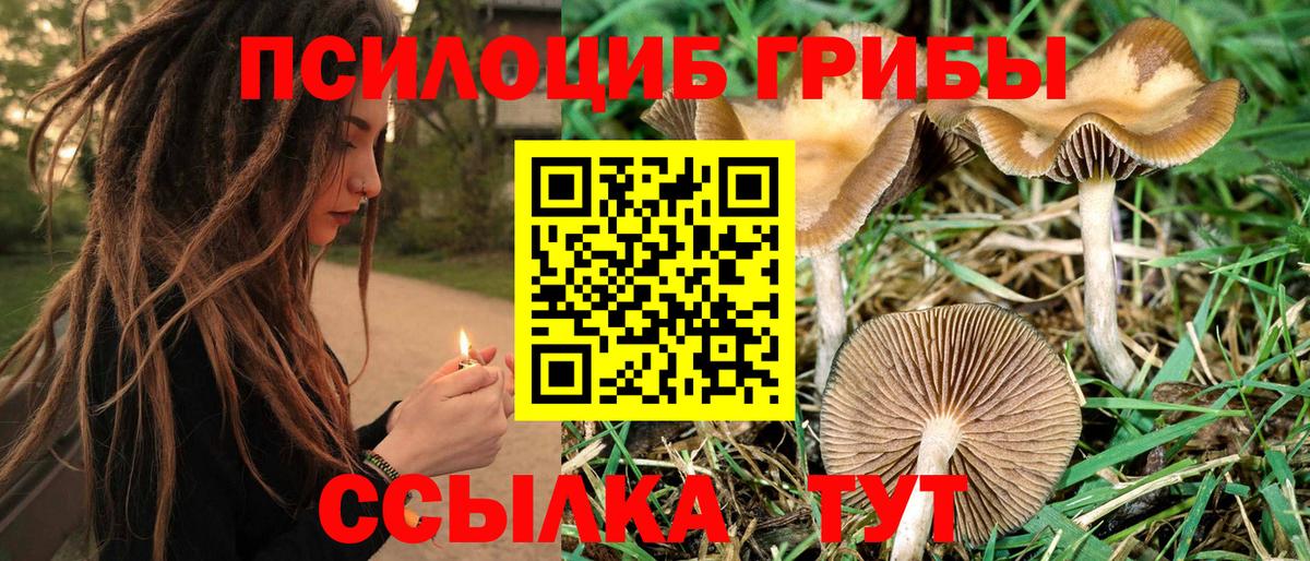 Батайск  купить  сайты  Галлюциногенные грибы мухоморы  Вход с VPN  Псилоцибиновые грибы Psilocybine cubensis 
